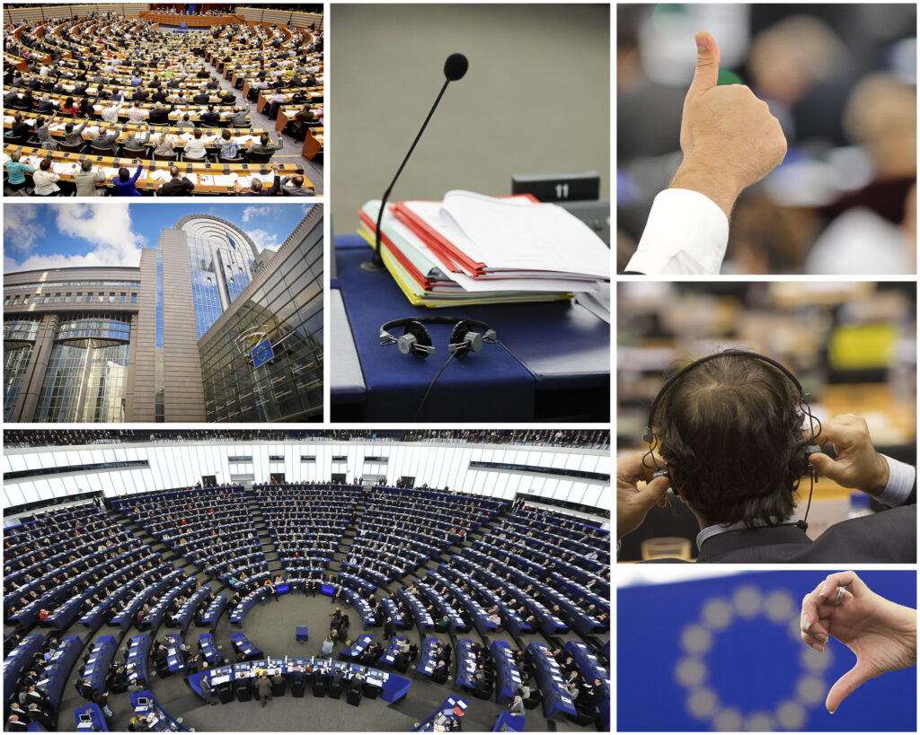 Elezioni Europee 2014, i dati di Cagnano