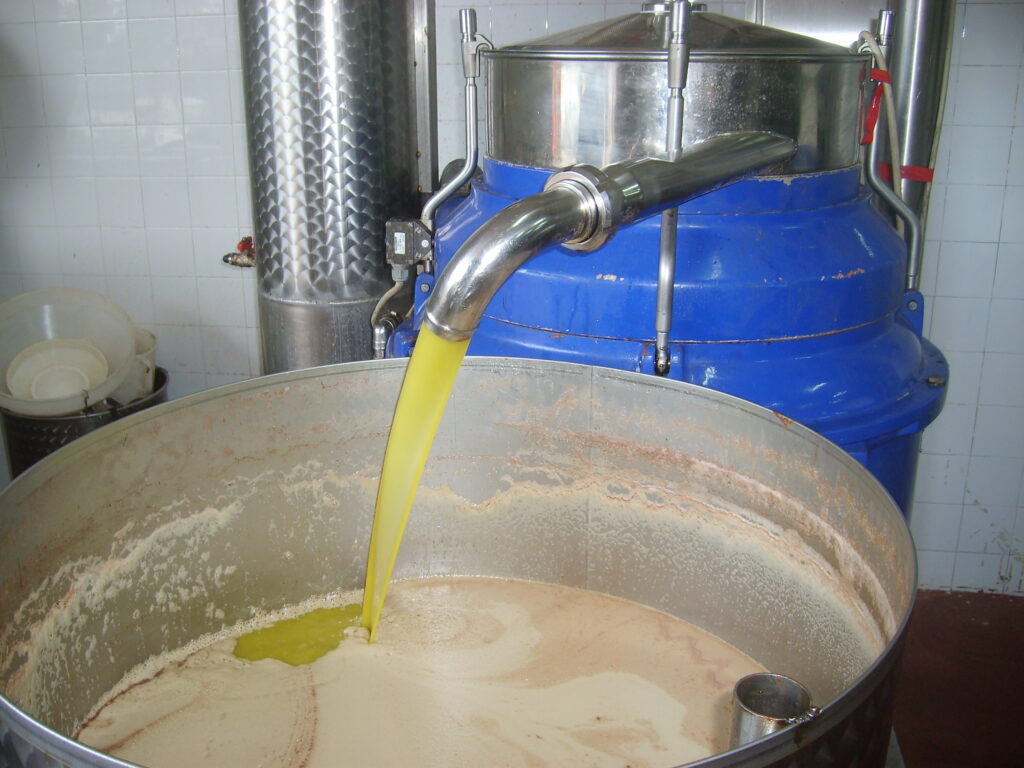 Olio: Coldiretti Puglia, -30% produzione per siccità